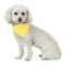 Balec 10 Pack Solid Cotton Dog Bandana Triangle Bibs - Small & Medium Pets